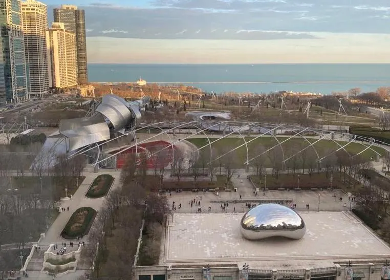 Dentistry in Millennium Park by top dentist in Chicago