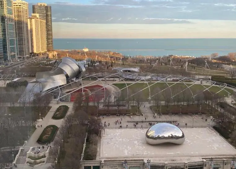 Dentistry in Millennium Park by top dentist in Chicago